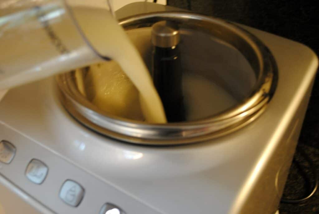 granita di fiori di sambuco 2