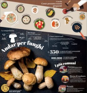 funghi poster cdt