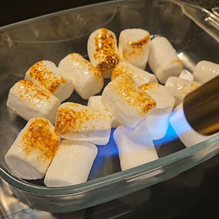 BBQ Marshmallow ice cream 2 VideoCapture 20240820 201214