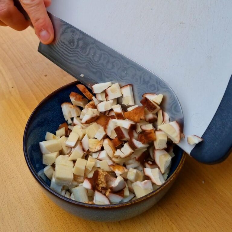 Cep mushrooms carpaccio in two ways 1 Snapshot 5